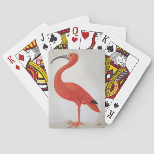 Baralho Flamingo - cartão de jogo das belas artes
