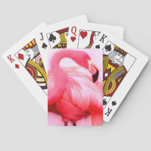 Baralho Flamingo cor-de-rosa