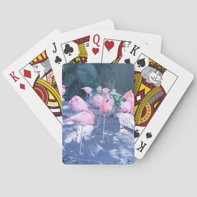 Baralho Flamingo em pé (Verso)