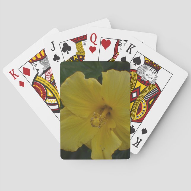 Baralho Flor Amarelo em Cartões de Reprodução (Verso)