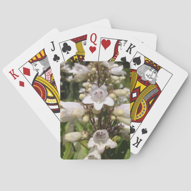 Baralho Flor Branca (Verso)