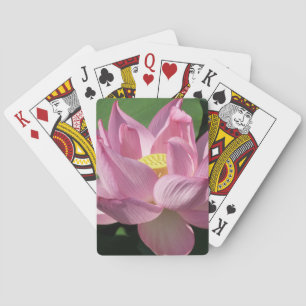 Baralho Flor de Lotus Rosa IV