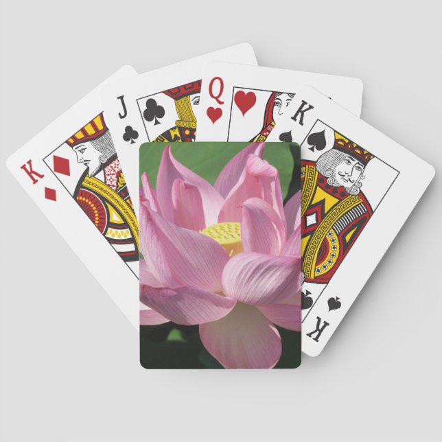 Baralho Flor de Lotus Rosa IV (Verso)