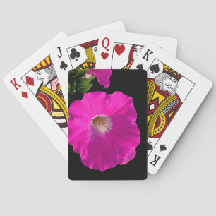 Baralho flor de petúnia rosa