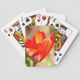 Baralho Flor de Tulipas Vermelhas