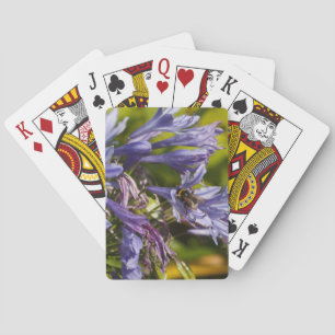 Baralho Flor e abelha de Agapanthus