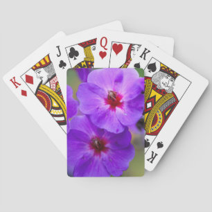 Baralho Flor roxa