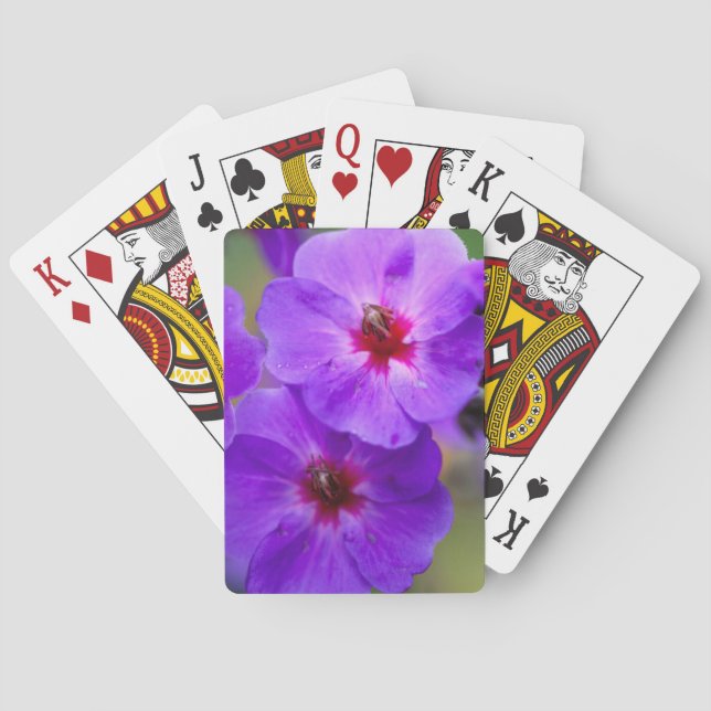Baralho Flor roxa (Verso)