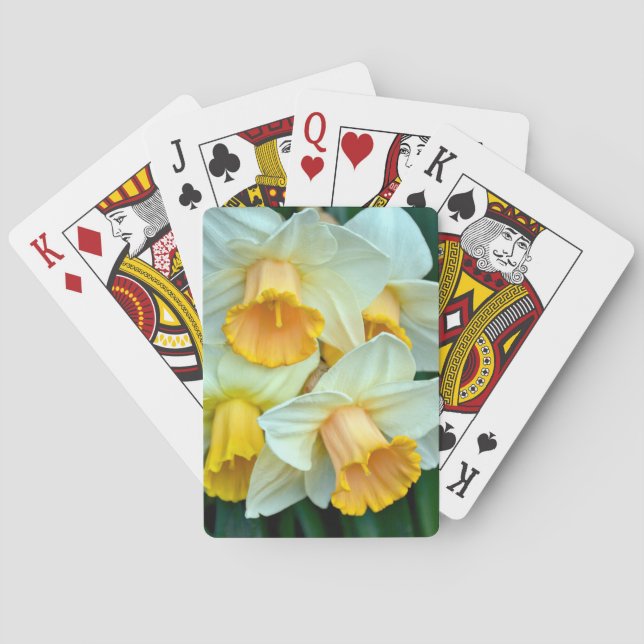 Baralho Flores daffodilo amarelas (Verso)