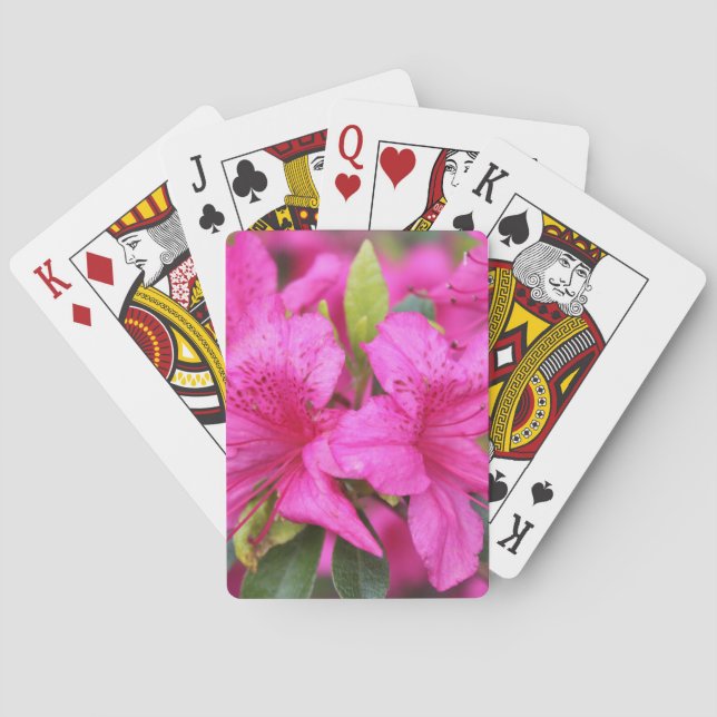 Baralho flores de azálea rosa，杜鹃花 (Verso)