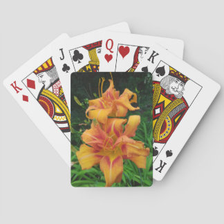 Baralho Flores de Hemerocallis Laranja
