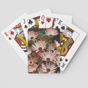 Baralho Flores de margarida africanas rosa