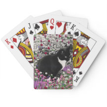 Flores II - Gato Tuxedo Kitty