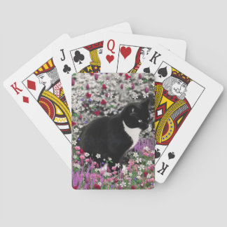Baralho Flores II - Gato Tuxedo Kitty