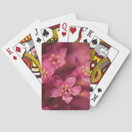 Baralho Flores Rosa Bonitas