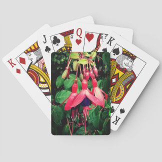 Baralho Flores vermelhas e roxas