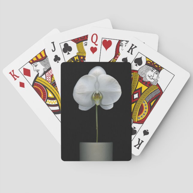 Baralho Flowers | White Orchid Flower (Verso)