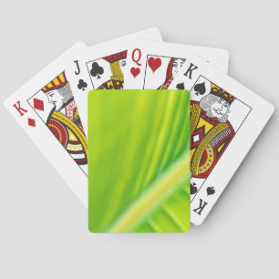Baralho folha de bananas verde