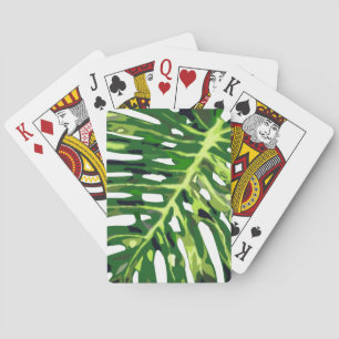 Baralho Folha de Monstera Tropical -