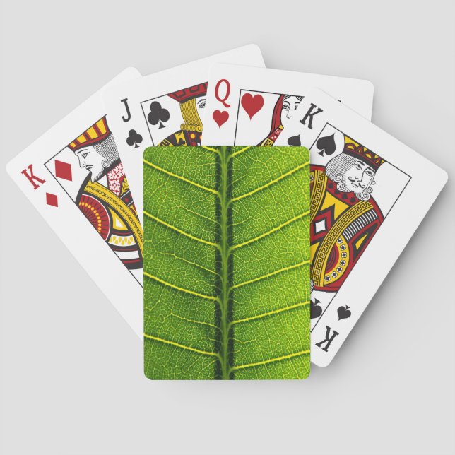 Baralho Folha verde (Verso)