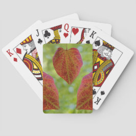 Baralho Folhas de Amor da Natureza