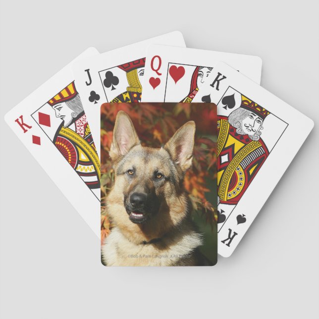 Baralho Folhas de outono do german shepherd (Verso)