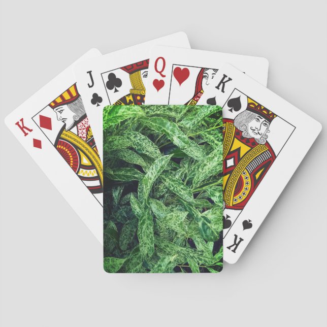 Baralho Folhas verdes (Verso)