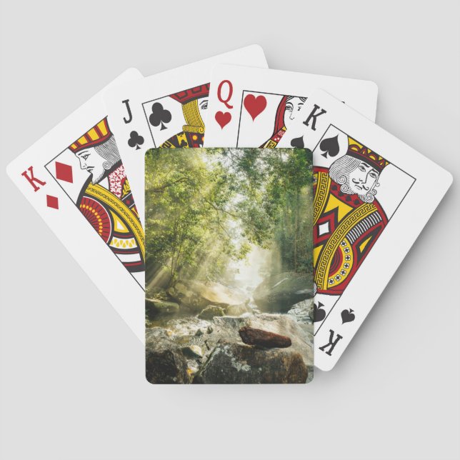 Baralho Forests | Tropical Jungle Forest (Verso)