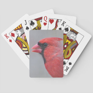 Baralho Foto cardinal