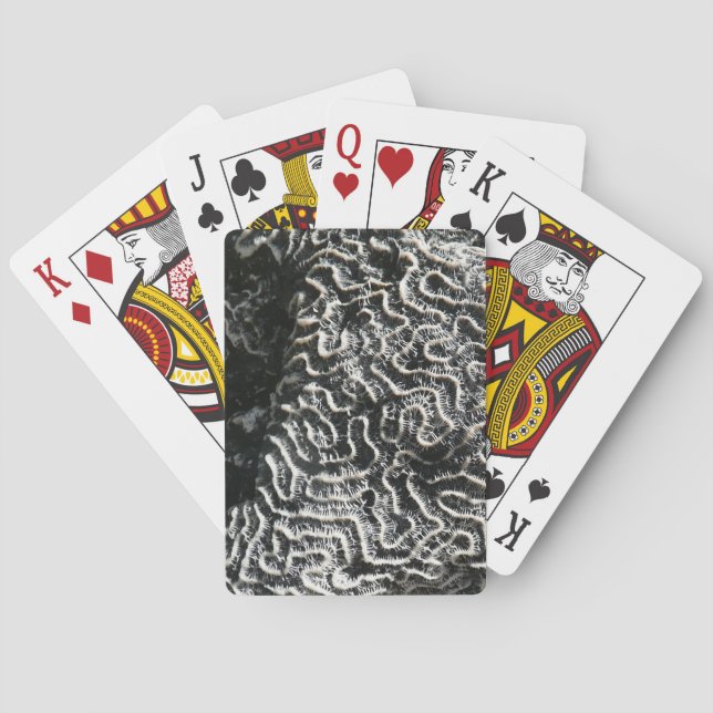 Baralho Foto da natureza do Abstrato Black and White Coral (Verso)