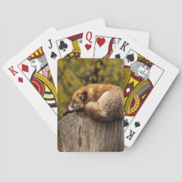 Baralho Foto da raposa que dorme