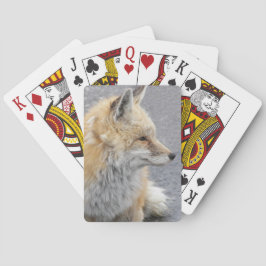 Baralho Foto da Vida Selvagem da Red Fox