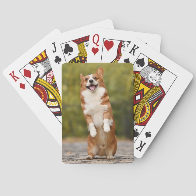 Baralho Foto de cachorrinho Corgi feliz em pé (Verso)