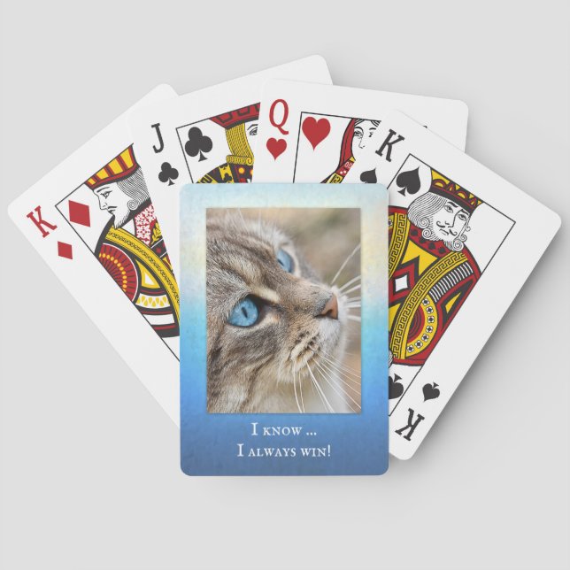 Baralho Foto de Gato Engraçado Tocando Cartões (Verso)