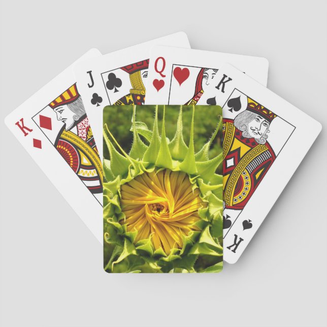Baralho Foto de girassol amarelo elegante (Verso)