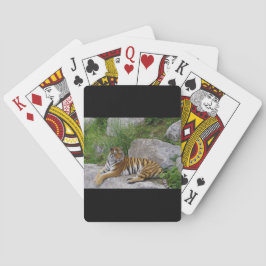 Baralho Foto de retrato de um tigre siberiano