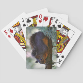 Baralho Foto de Wildlife do Esquilo Douglas, um belo peque