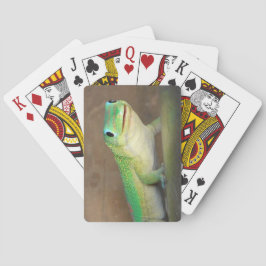 Baralho Foto do Gecko Dourado Dust Day