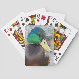 Baralho Foto do Pato Male Mallard