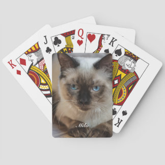 Baralho Foto e Nome Personalizados de Gato Ragdoll