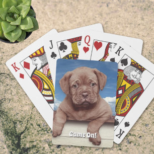 Baralho Fotografia Adorável de Cachorrinho Marrom