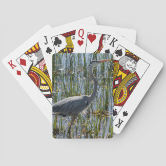 Baralho Fotografia de Closeup Marsh do Pird Heron