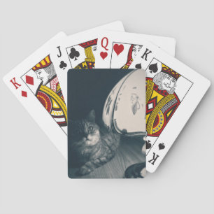 Baralho Fotografia do estilo do gato e da lâmpada