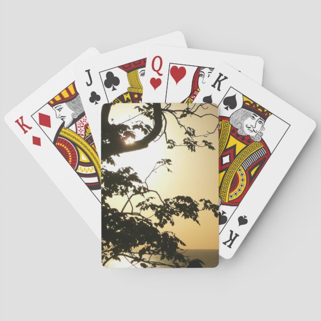 Baralho Fotografia Tropical II através do Sol (Verso)