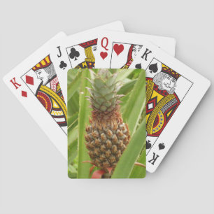 Baralho Fruta tropical de ananás selvagem na natureza