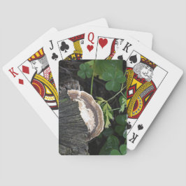 Baralho Fungo Polipérico no Salto de Árvore