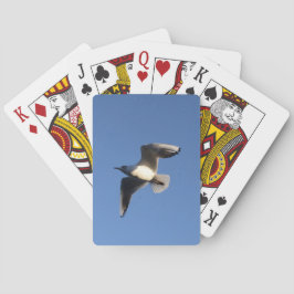 Baralho Gaivota-pequena