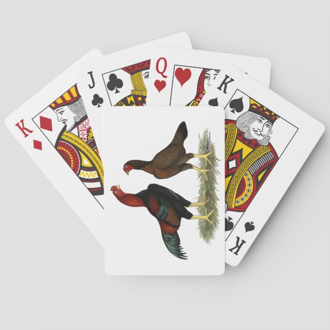 Baralho Galinha Aseel Black Red (Verso)