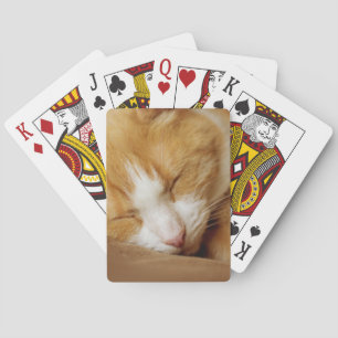 Baralho Gatinho dormindo