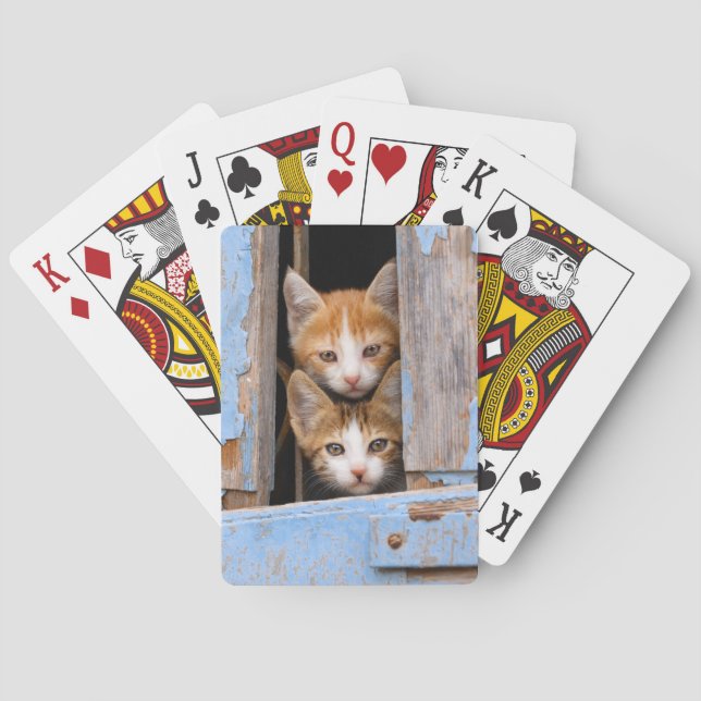 Baralho Gatinhos bonitos em uma janela de vinheta, tocando (Verso)